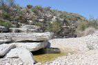 waterhole