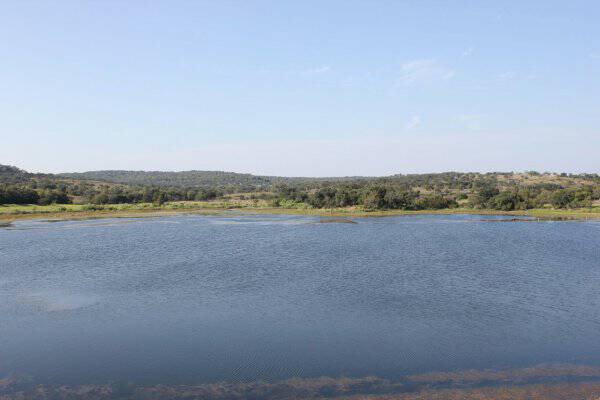 schumann-lake-to-south