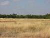 field