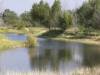lake-1