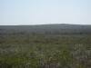 hilltop