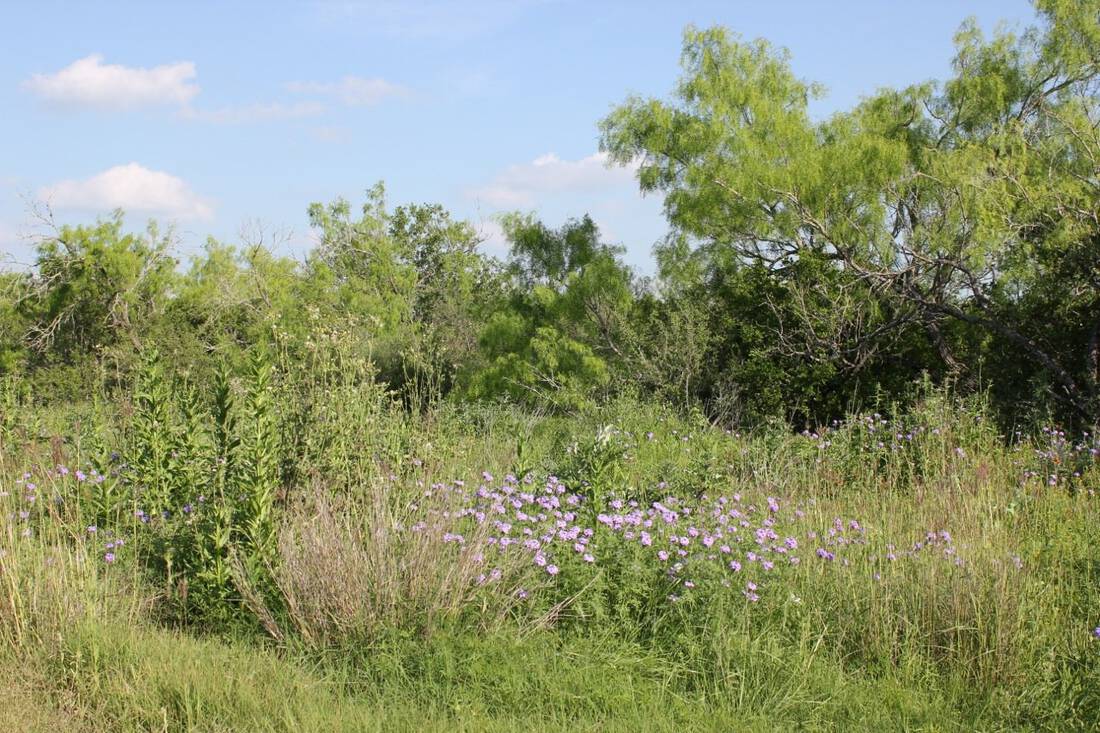 Rio Medina Ranch Republic Ranches