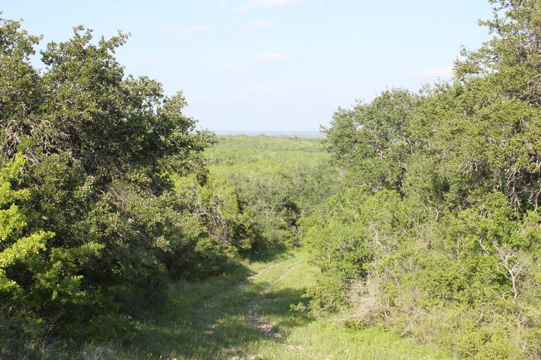 Rio Medina Ranch Republic Ranches