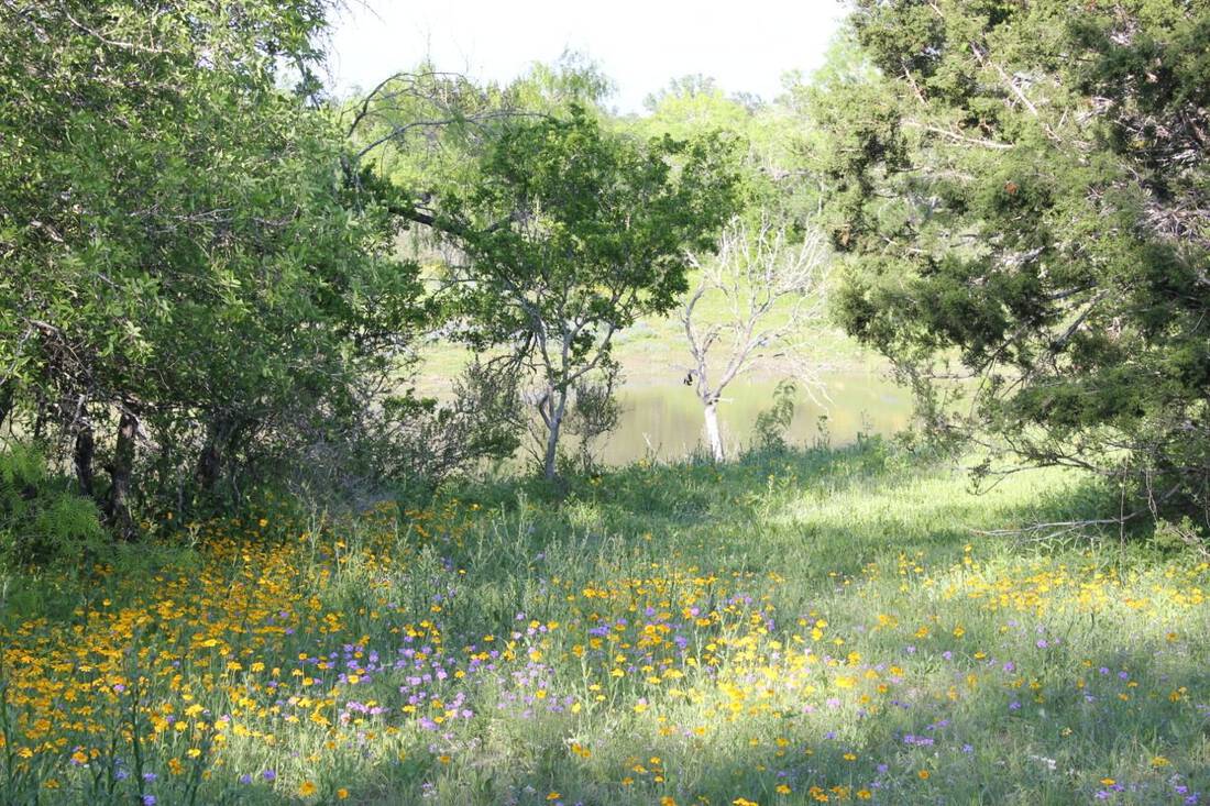 Rio Medina Ranch Republic Ranches