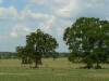 spring-creek-twin-oaks