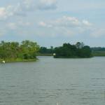 Spring Creek