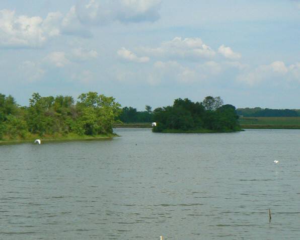 Spring Creek