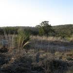 Kendall Cty  - 17