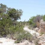 Pony Creek Arroyo