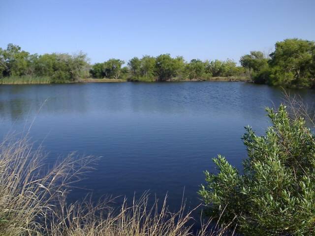 Texas Pond