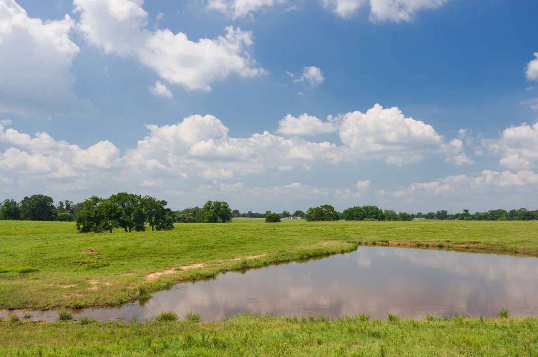 10 Ranch-Anderson County, Cayuga, Texas-Cattle Ranch-Recreational-Duck Marsh-East Texas-Republic Ranches-Bryan Pickens - 17 of 35