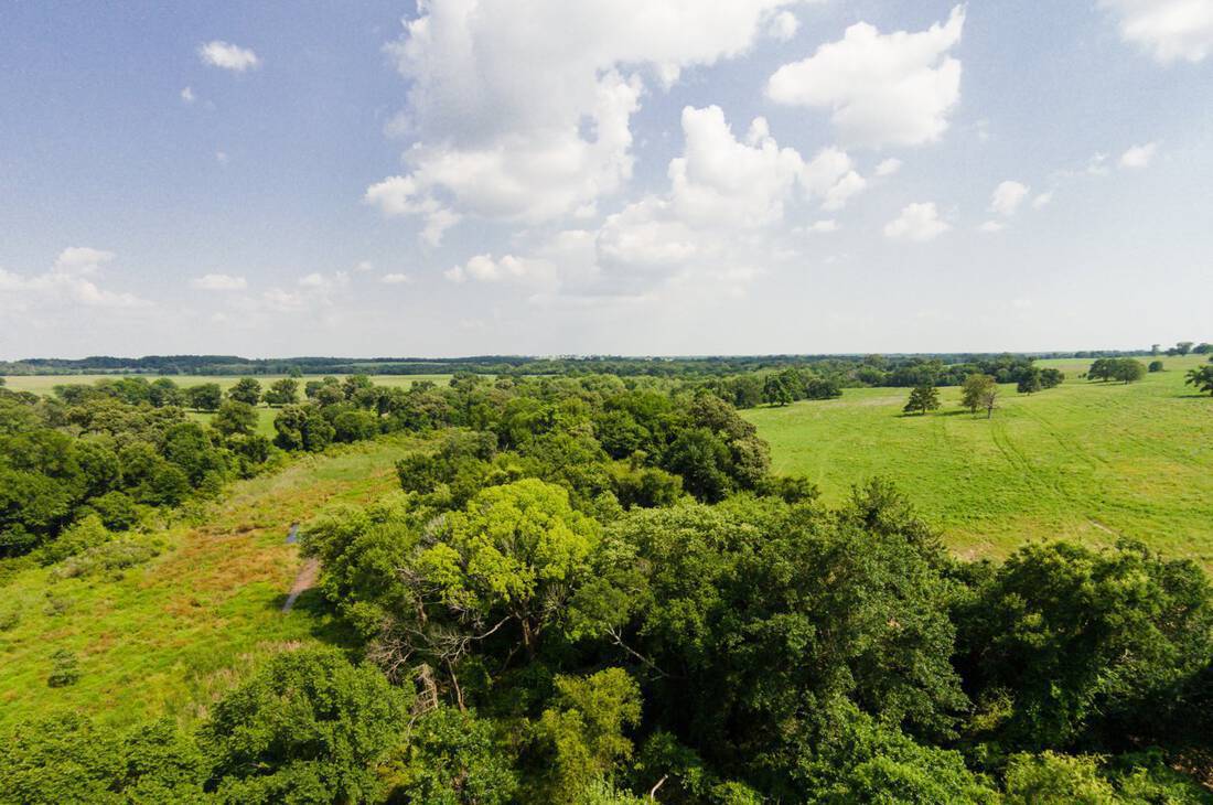 10 Ranch-Anderson County, Cayuga, Texas-Cattle Ranch-Recreational-Duck Marsh-East Texas-Republic Ranches-Bryan Pickens - 6 of 35