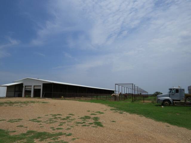 cattle-barns