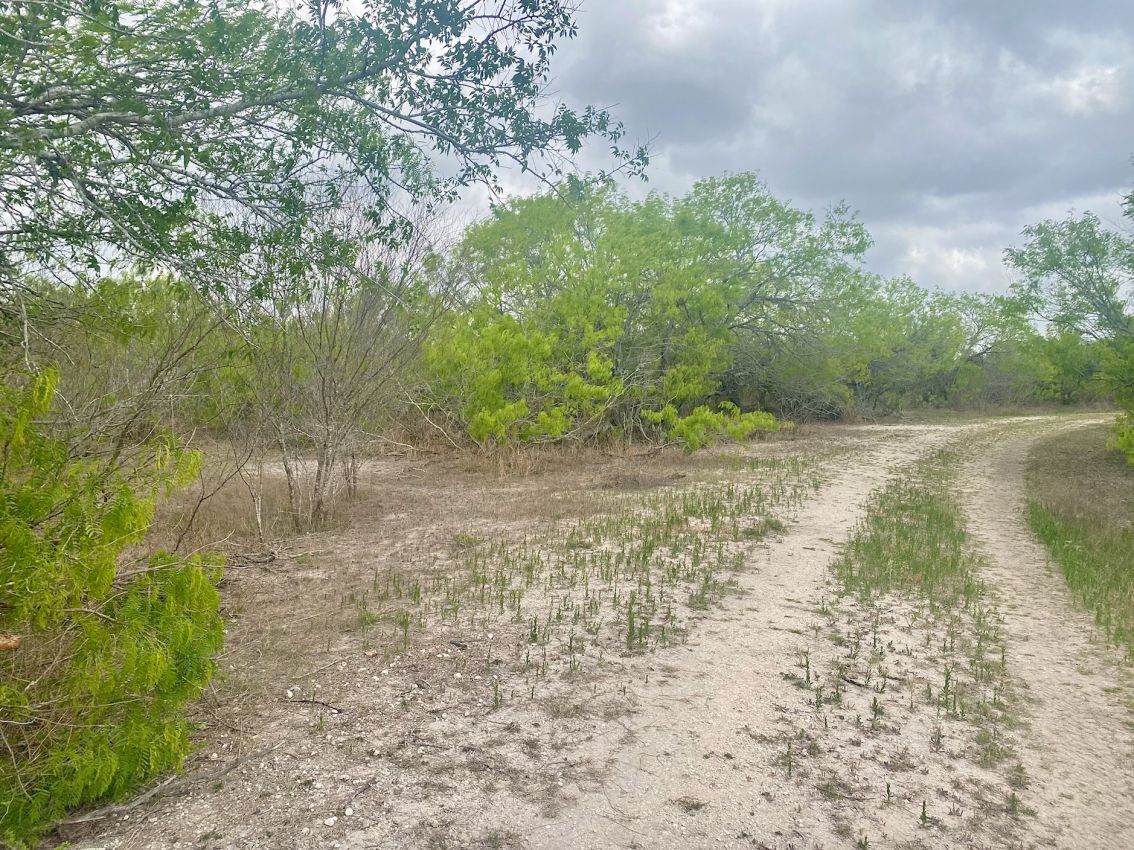 Barrett Ranch Republic Ranches