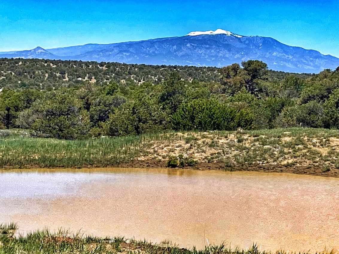 Pond-Colorado-Bear-Creek-Ranch