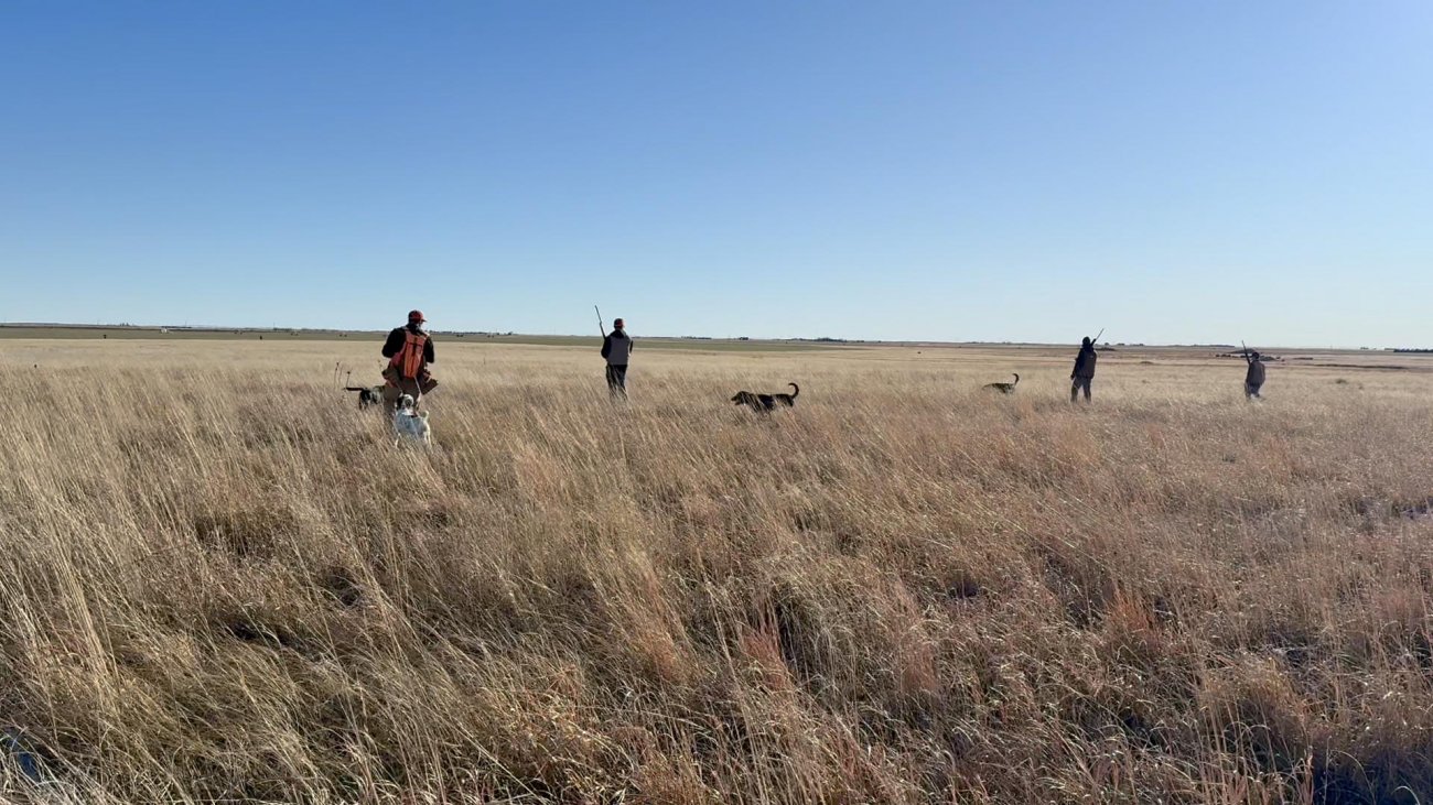 game-bird-hunting-land-for-sale-colorado-bow-barrel-lodge