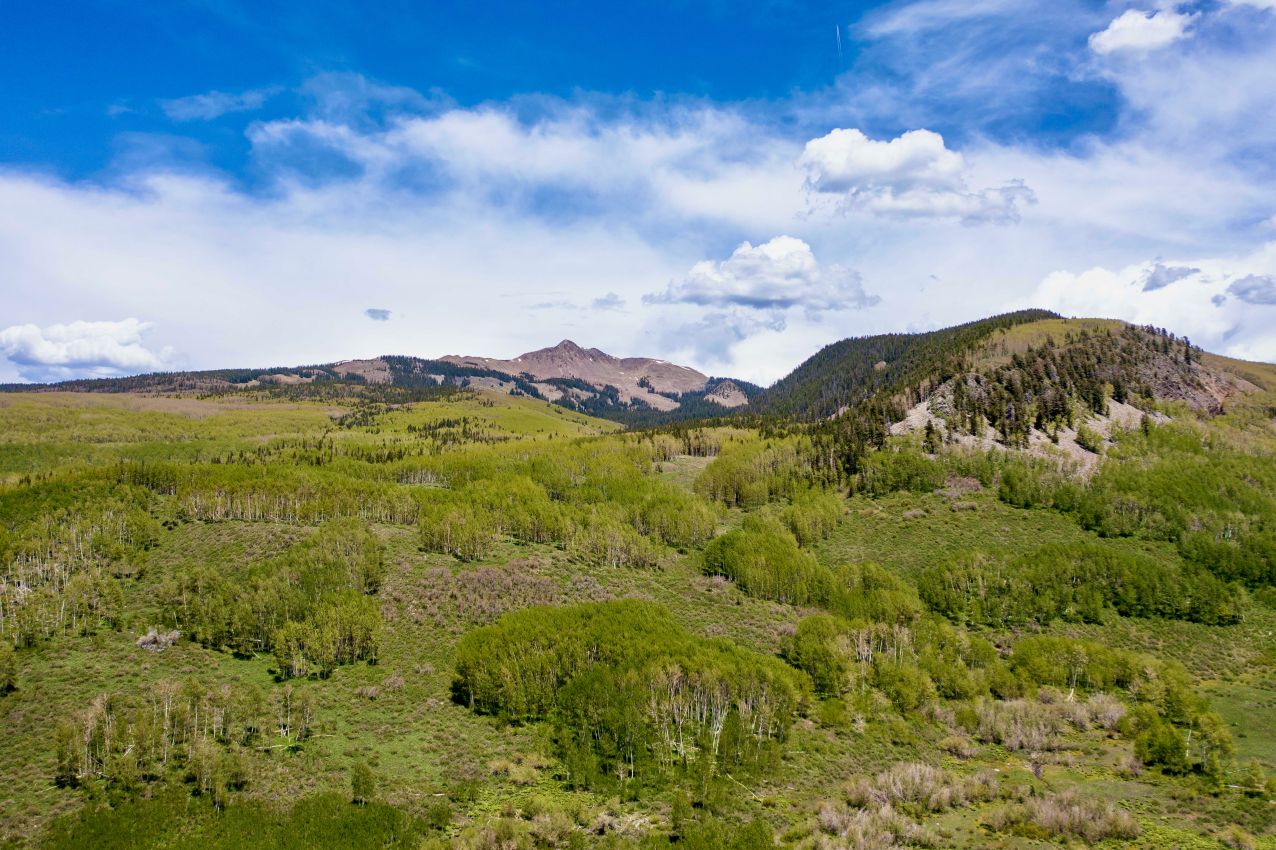 Aspen-Groves-Colorado-Brumley-Aspen-Waters-Ranch