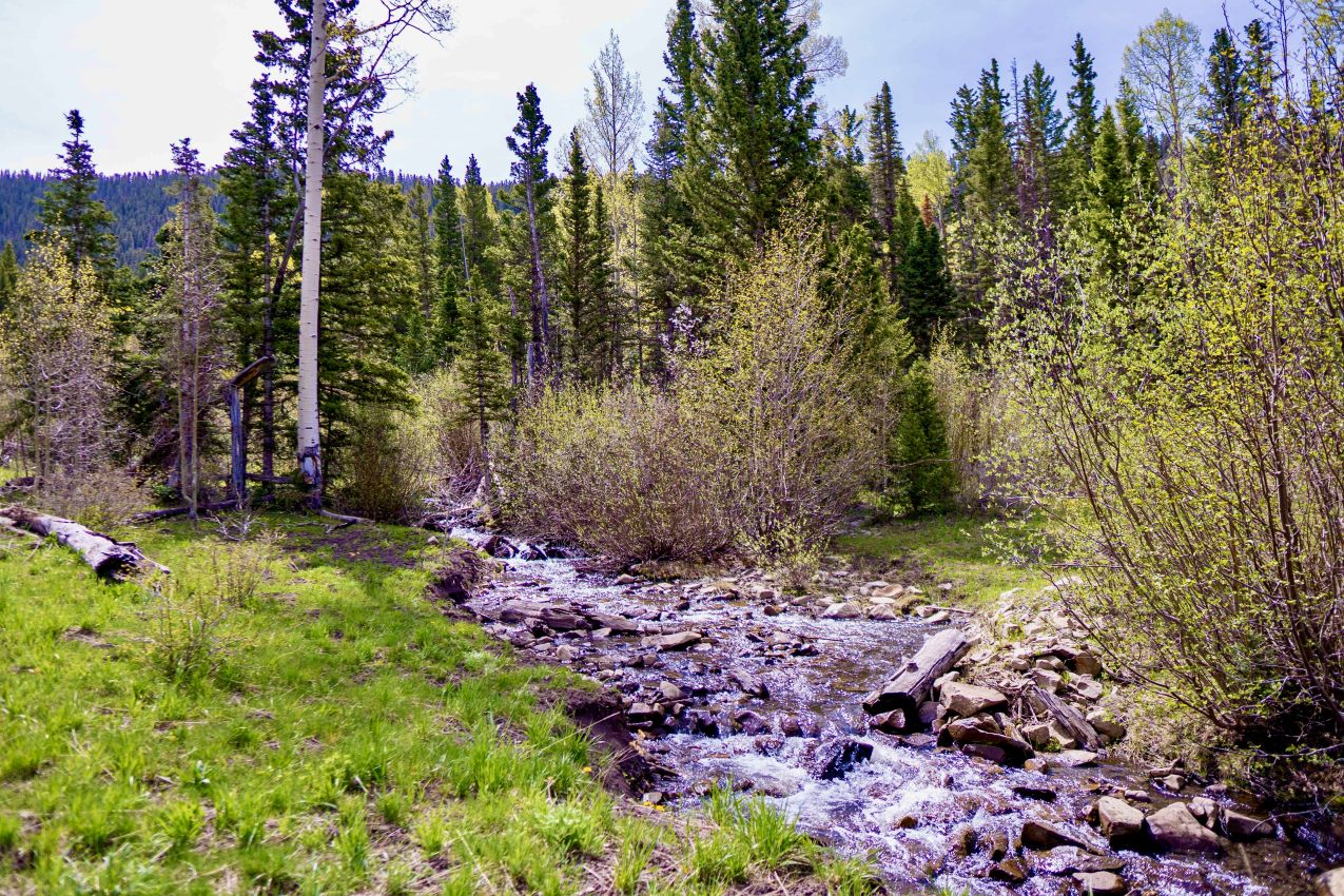 Creek-Colorado-Brumley-Aspen-Waters-Ranch