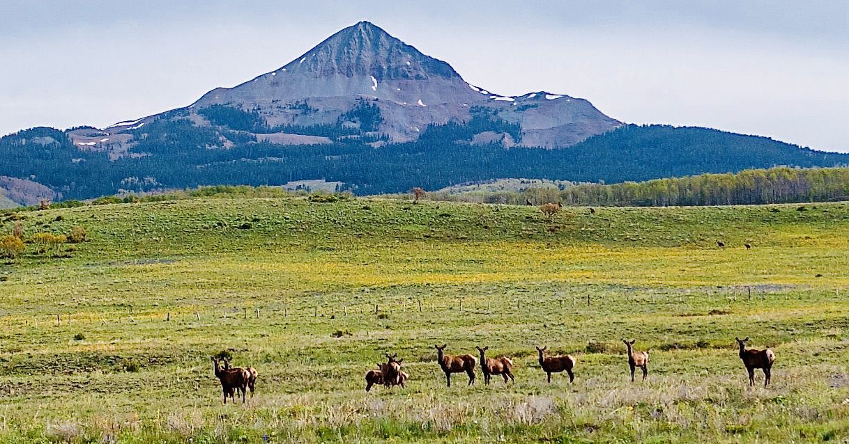 Lone-Cone-Elk-Colorado-Brumley-Aspen-Waters-Ranch