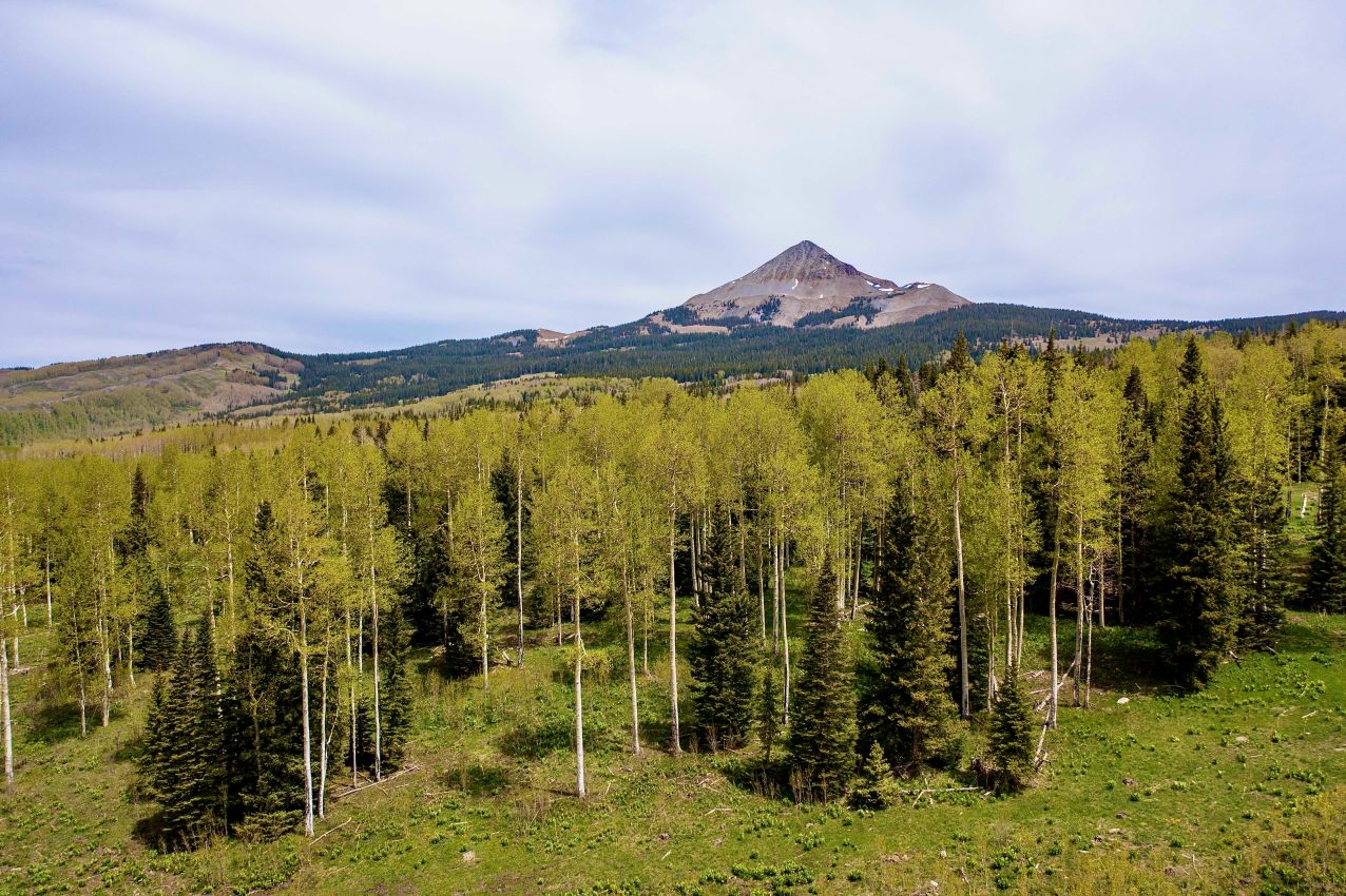Lone-Cone-Peak-and-Aspen-Grove-Colorado-Brumley-Aspen-Waters-Ranch