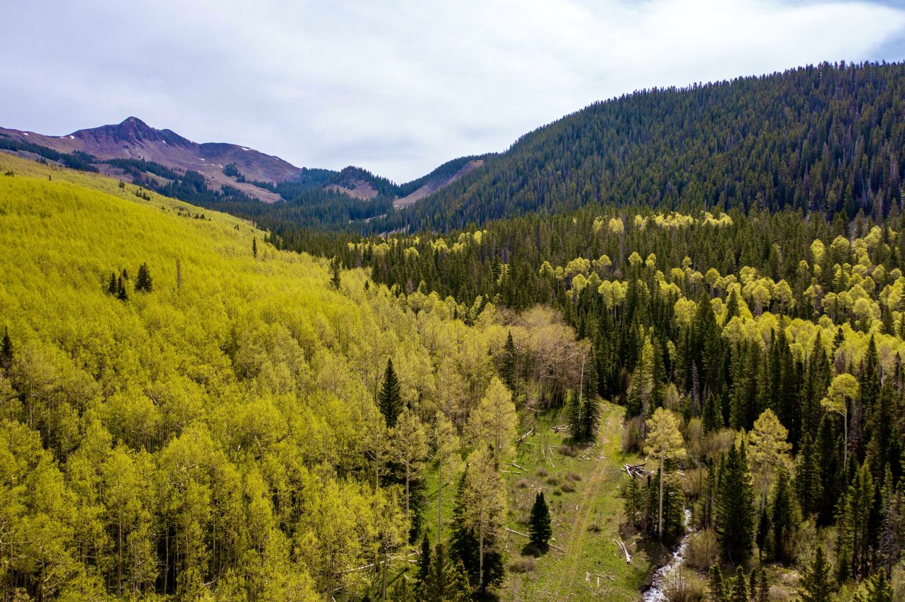 forest-valley-Colorado-Brumley-Aspen-Waters-Ranch