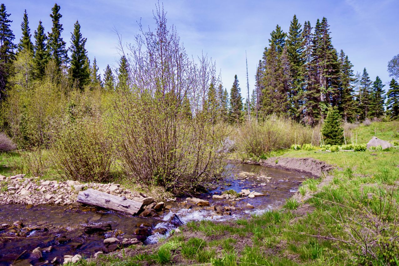 winding-creek-Colorado-Brumley-Aspen-Waters-Ranch