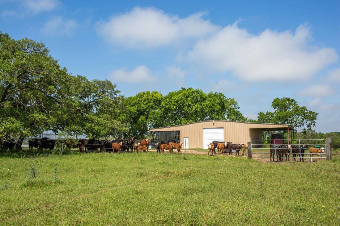 Lavaca County Ranch for Sale Tallon Martin Ranch Broker 17