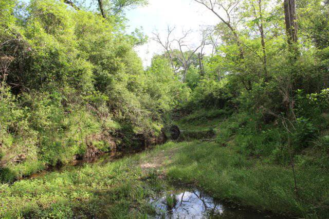 hickory creek