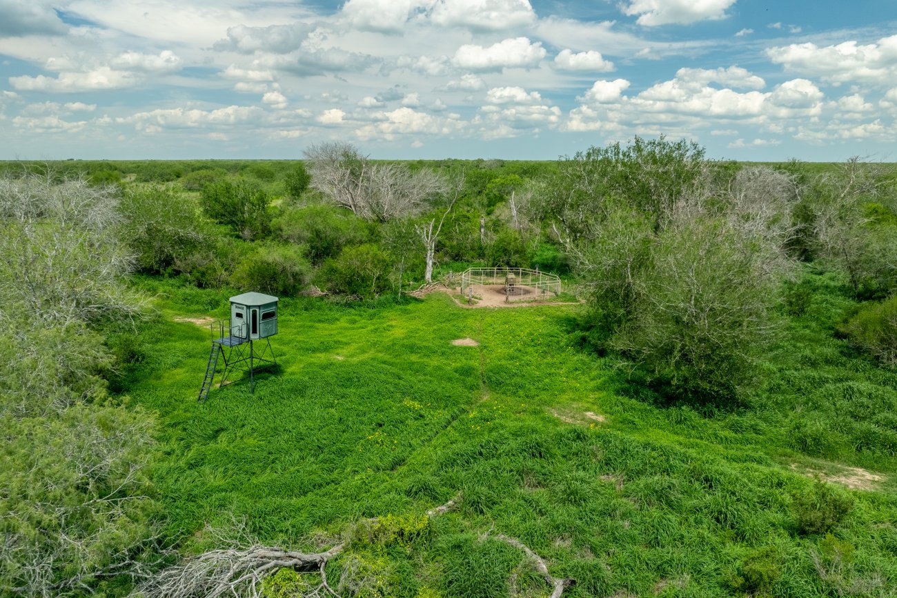 Cibolocreek-3 Cibolocreek-3