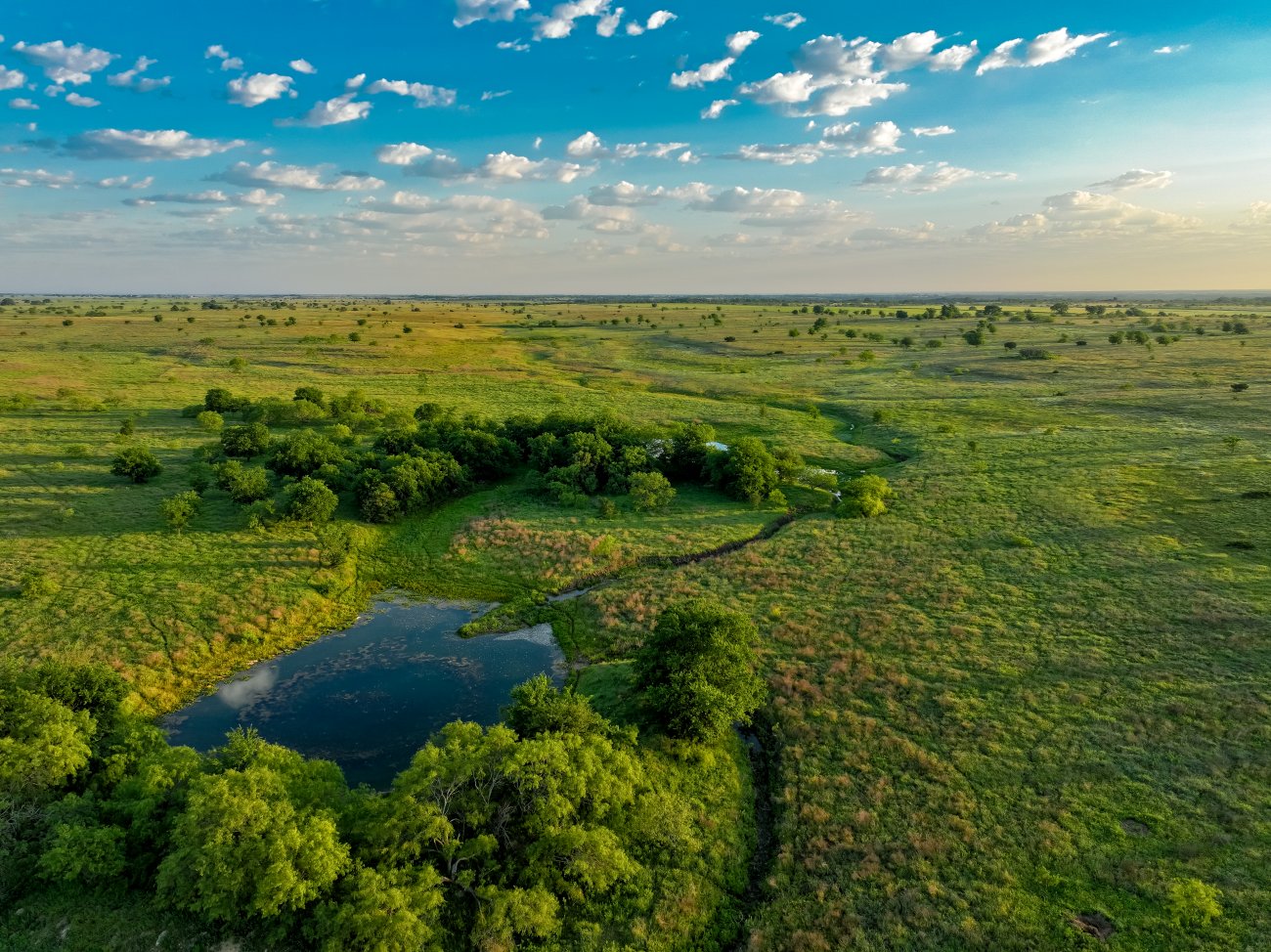 DJI_20250513061317_0307_D DJI_20250513061317_0307_D