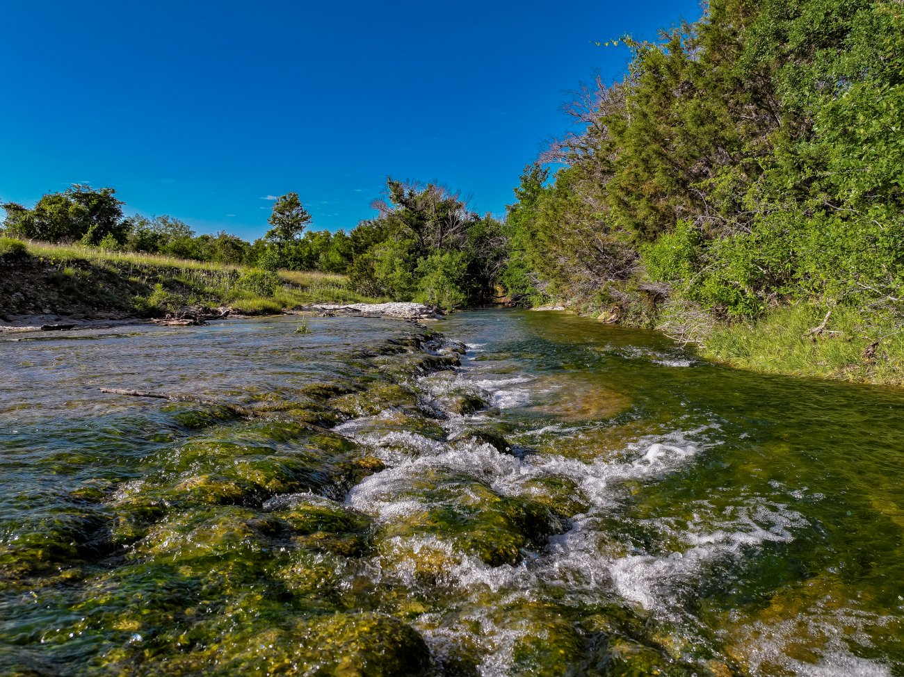 DJI_20250513080748_0376_D DJI_20250513080748_0376_D