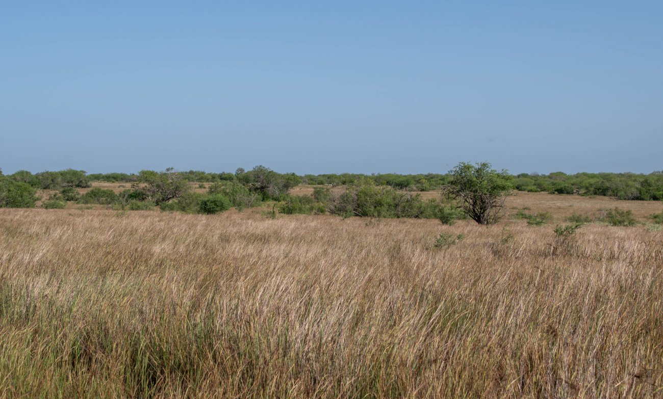 Crestonio-Ranch-31 Crestonio-Ranch-31