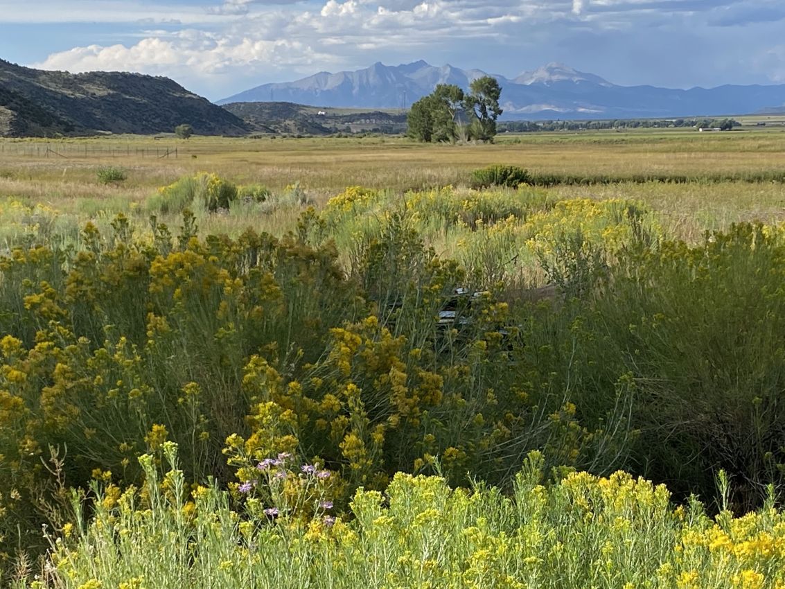 Green-Grass-mountains-Colorado-Culebra-Creek-Anglers-Retreat-