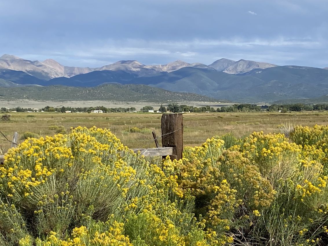 Mountain-flowers-Colorado-Culebra-Creek-Anglers-Retreat-