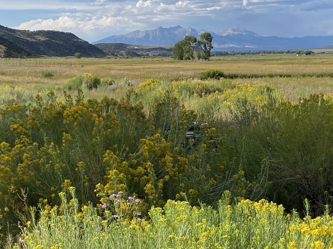 greening-up-Colorado-Culebra-Creek-Anglers-Retreat-