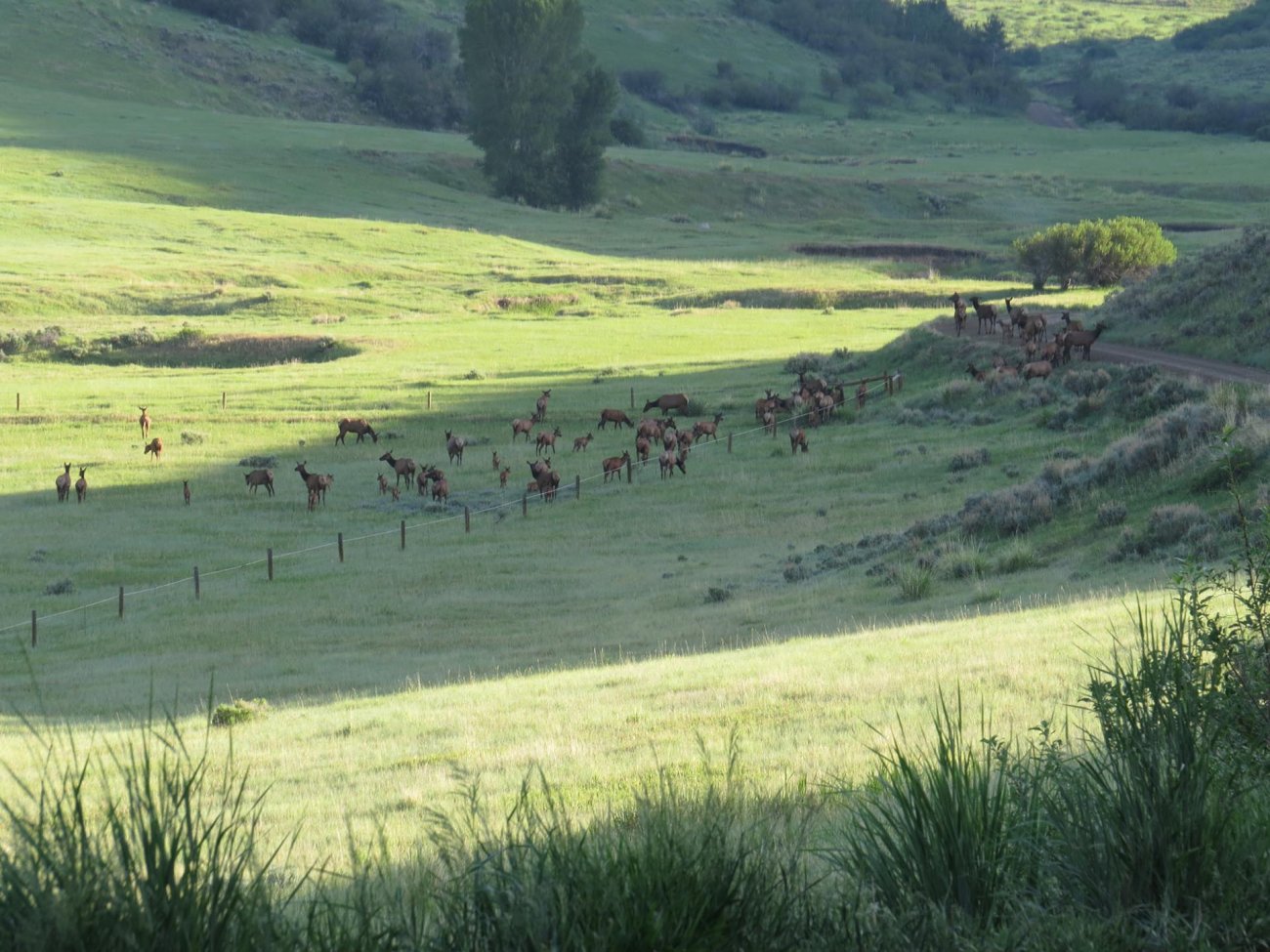 stagecoach-ski-area-colorado-doc-utterback-ranch