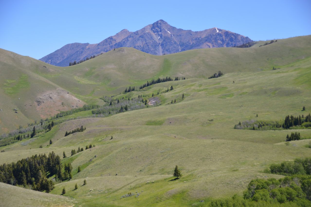 Big-Game-Hunting-Ranch-For-Sale-Montana-Dome-Mountain-Ranch