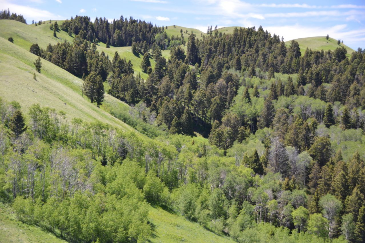 Elk-Hunting-Ranch-For-Sale-Montana-Dome-Mountain-Ranch