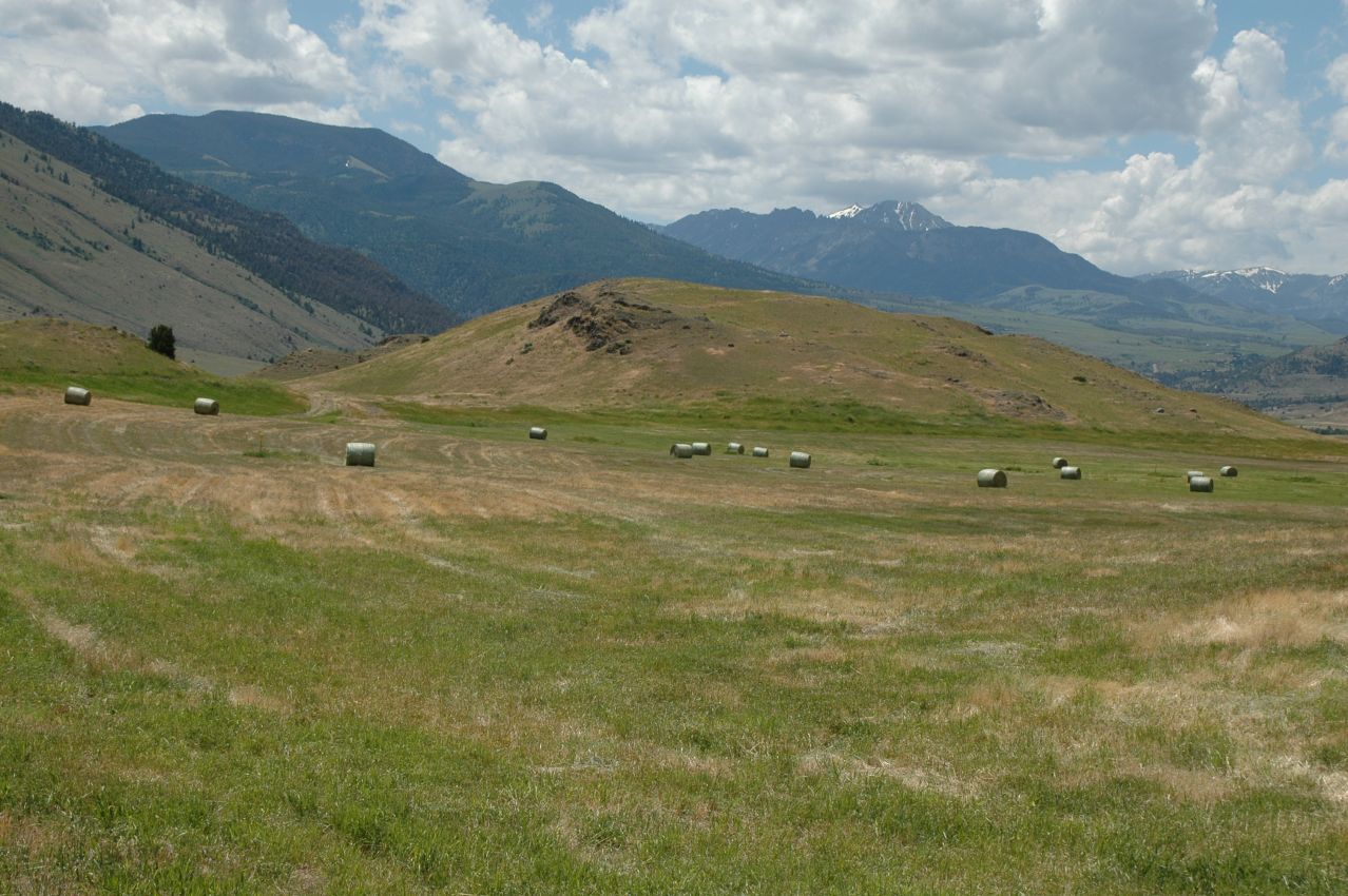 Hay-Ground-For-Sale-Montana-Dome-Mountain-Ranch