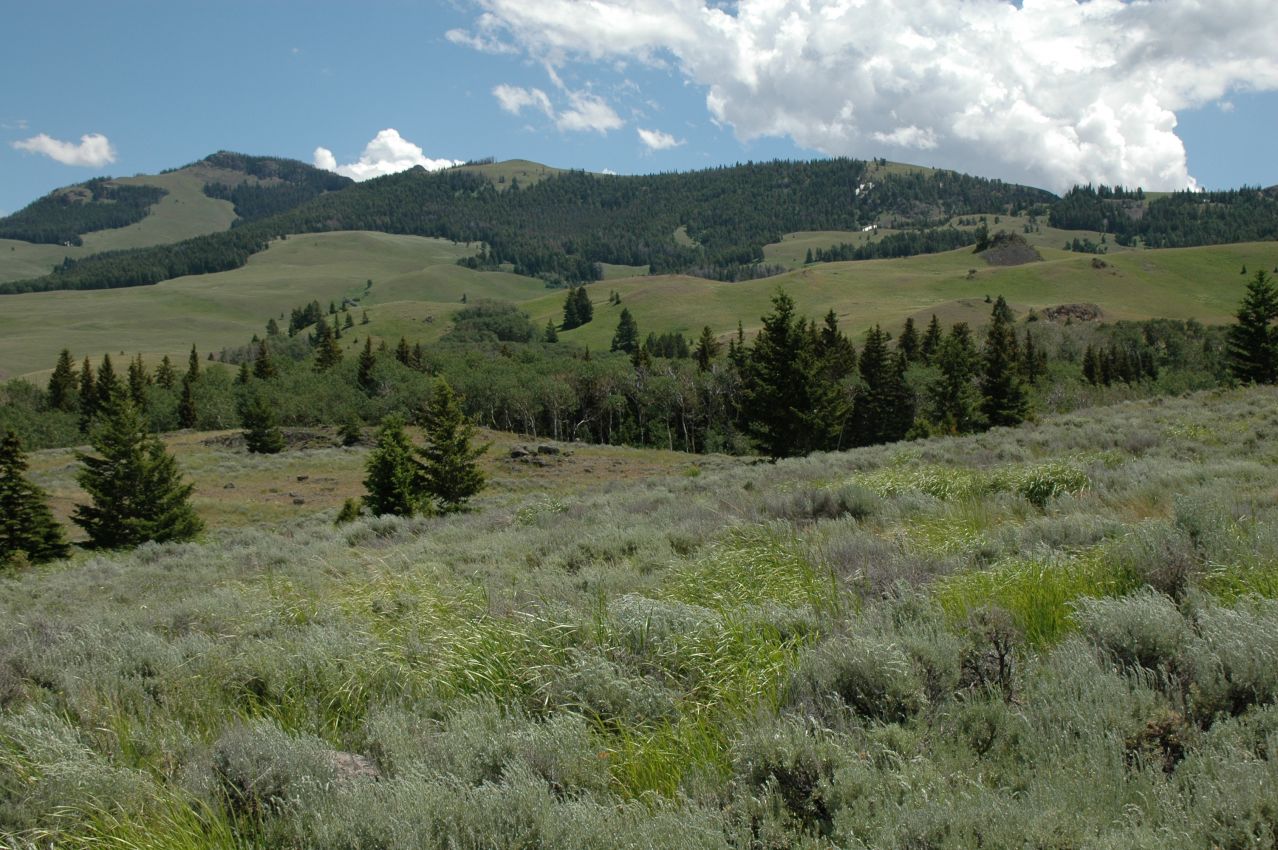 Incredible-Views-Montana-Dome-Mountain-Ranch