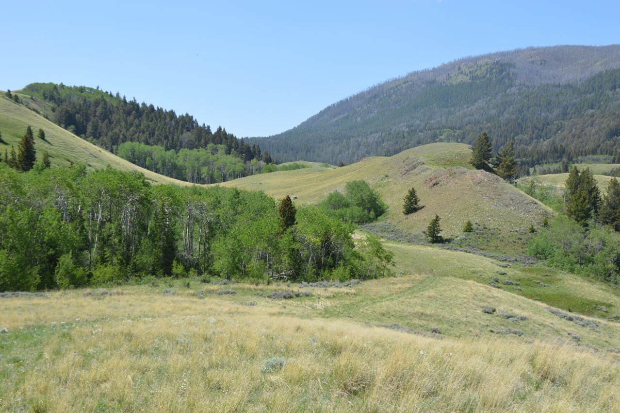 Large-Montana-Ranch-For-Sale-Dome-Mountain-Ranch