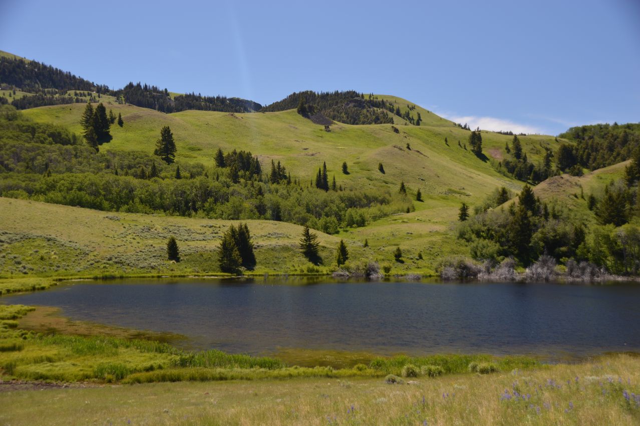 Multiple-Water-Resources-For-Sale-Montana-Dome-Mountain-Ranch