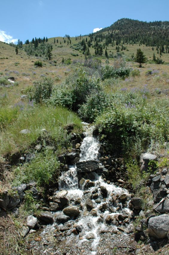 Water-Resources-For-Sale-Montana-Dome-Mountain-Ranch