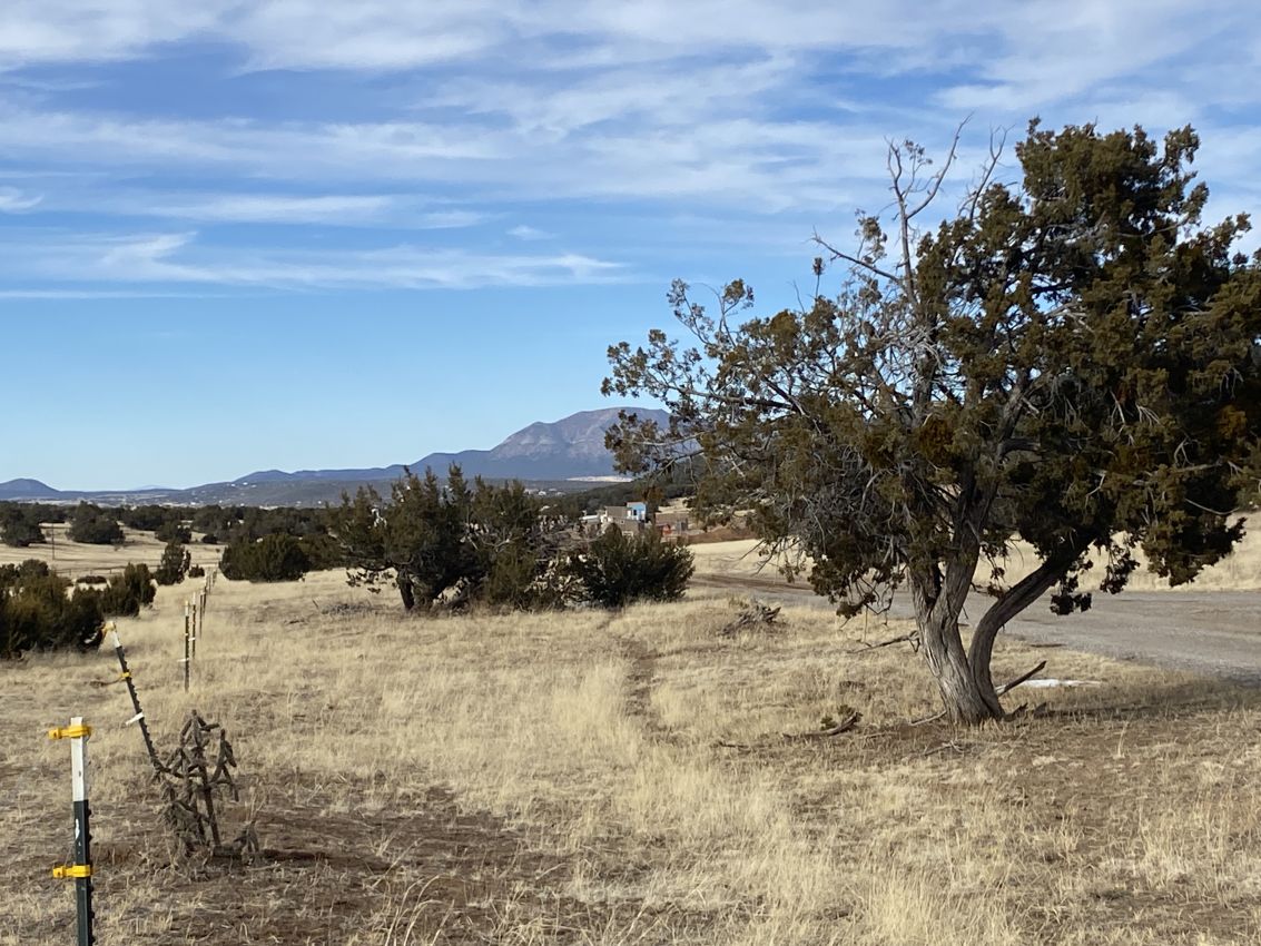 lone-juniper-new-mexico-founders-ranch