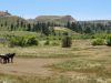 horse-ranch-montana-golder-ranch-on-rosebud-creek