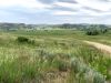 spring-time-montana-golder-ranch