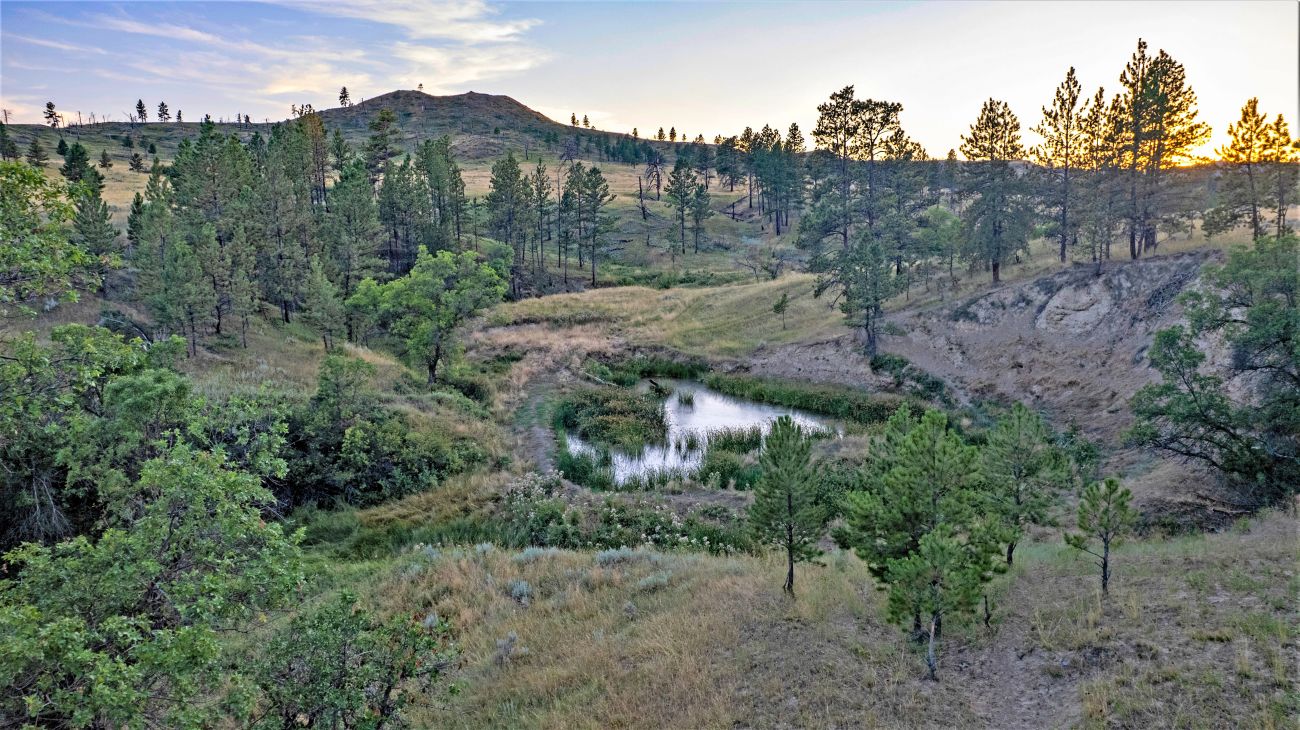waterfowl-hunting-land-for-sale-montana-golder-ranch-on-rosebud-creek