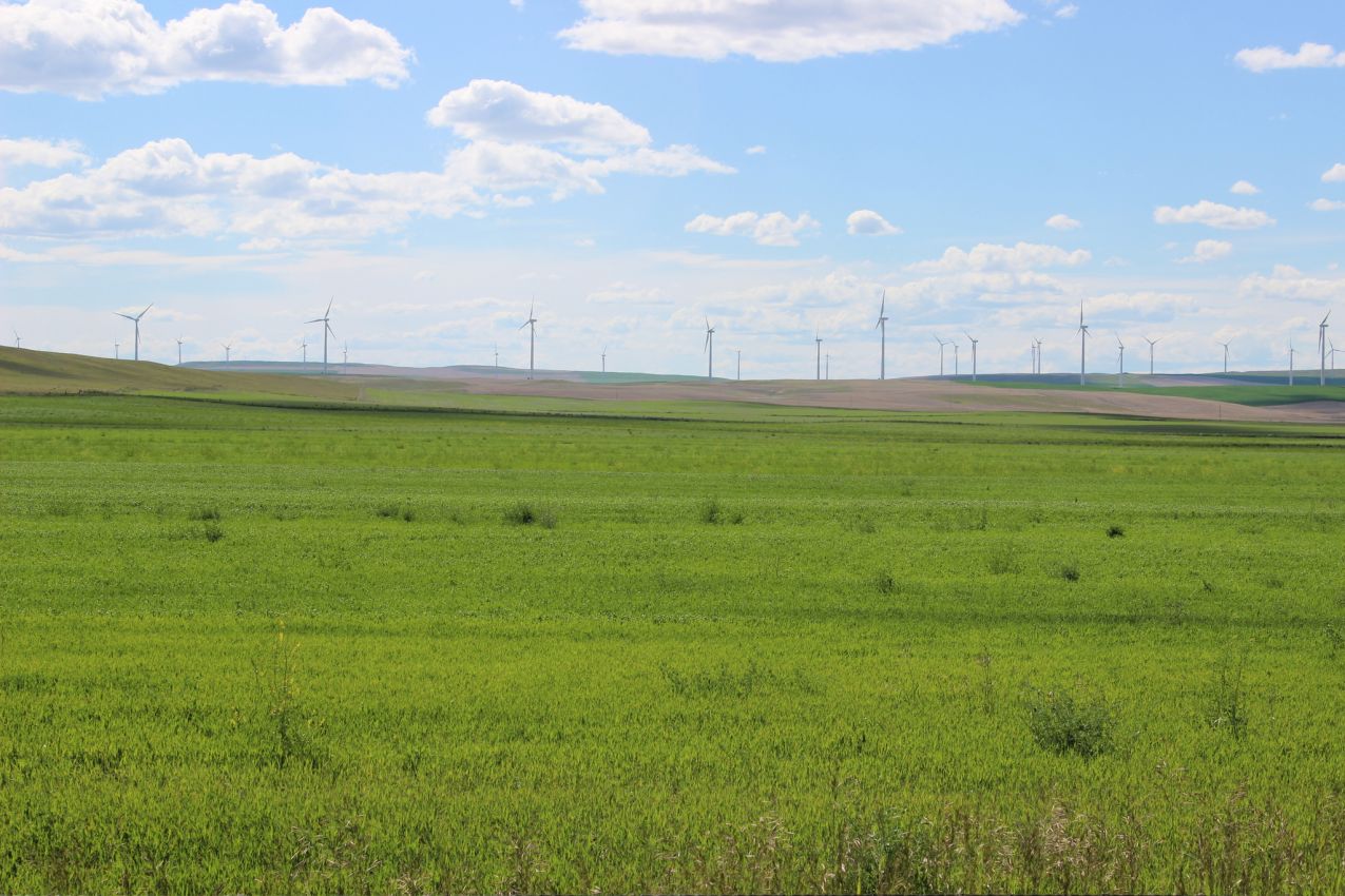 montana-wind-farm-for-sale-HJ-quarters-farm-investment-property
