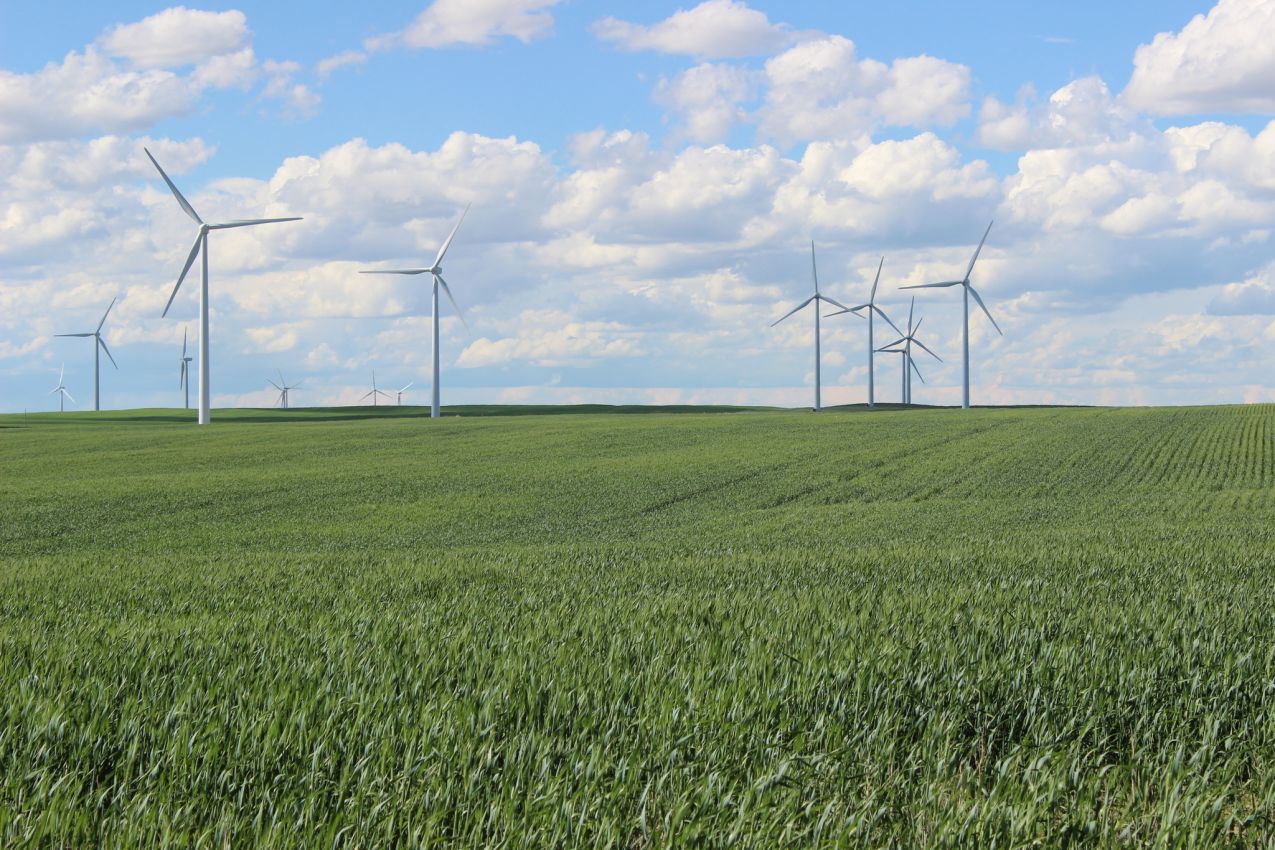 montana-wind-farm-for-sale-HJ-quarters-farm-wheat-windmills