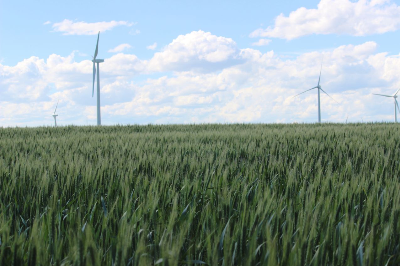 montana-wind-farm-for-sale-HJ-quarters-farm-wind-energy-investment